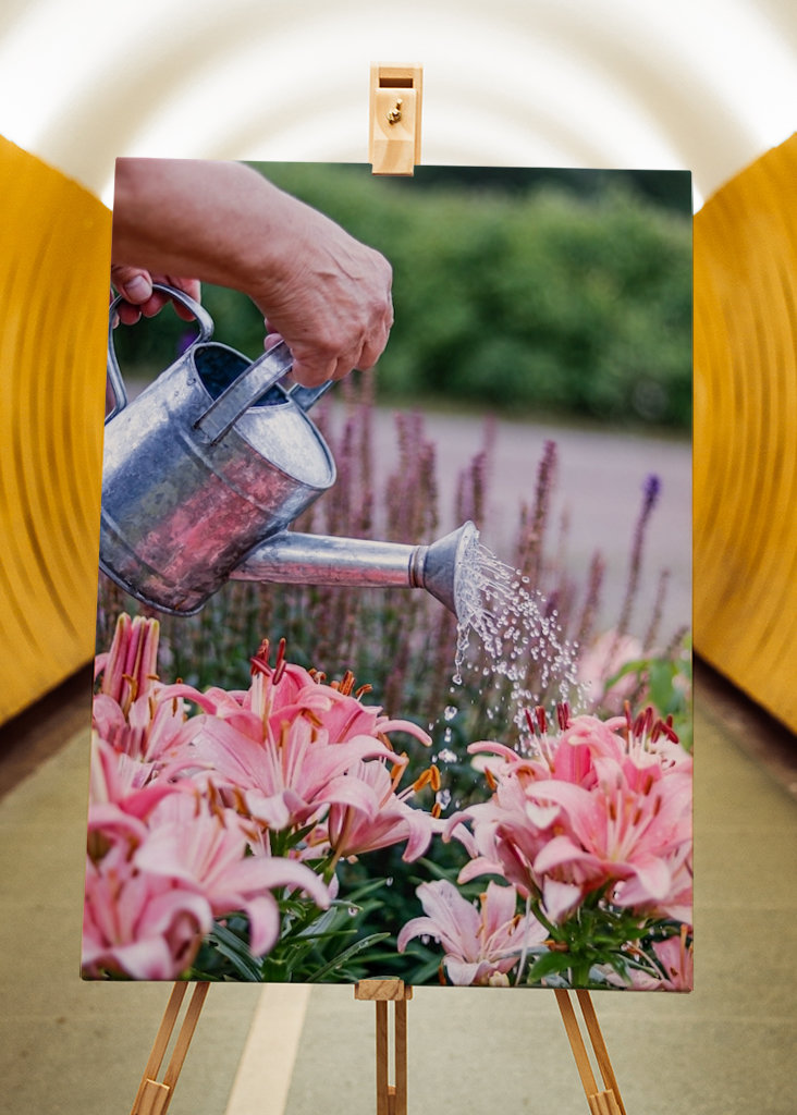 Peaceful in the garden