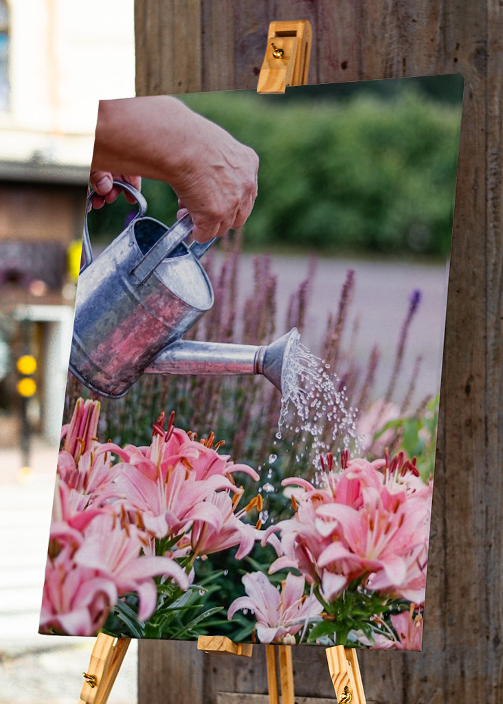 Peaceful in the garden