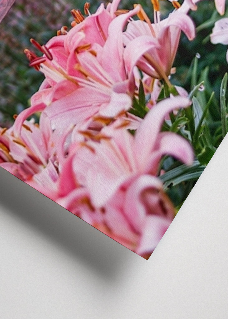 Peaceful in the garden