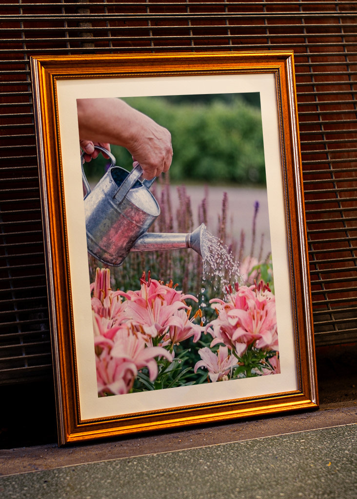 Peaceful in the garden