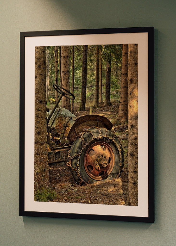 Abandoned traktor in forest