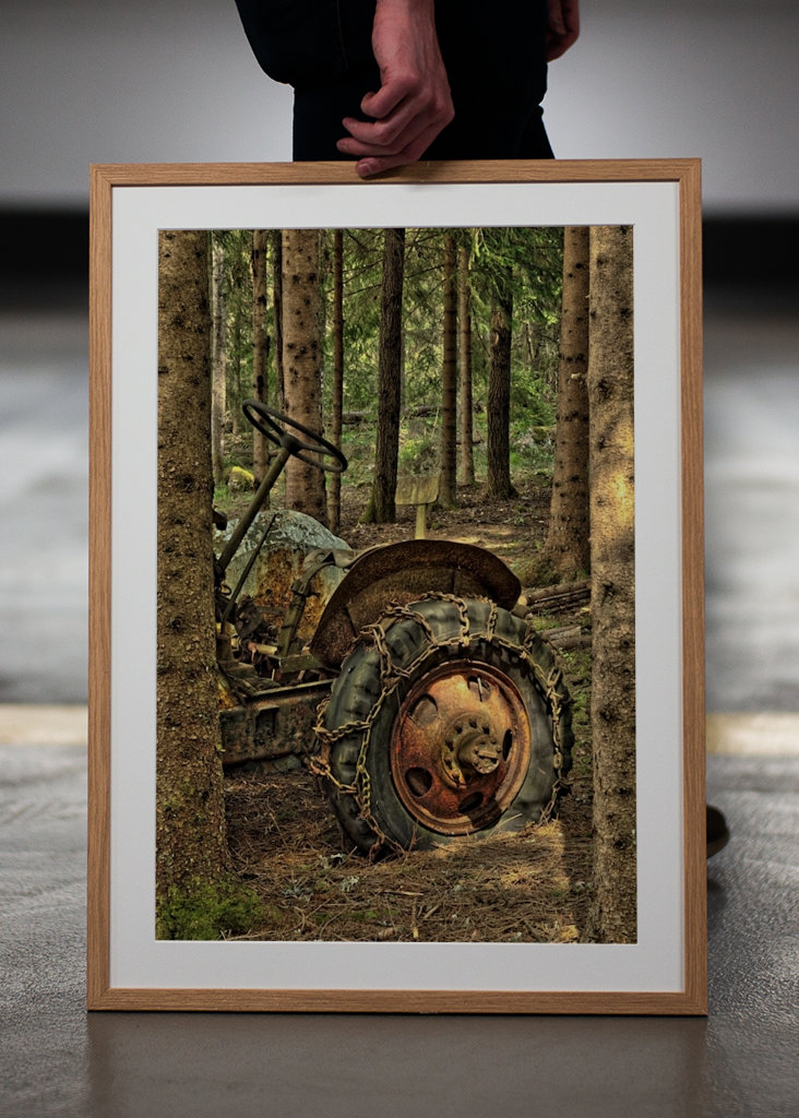 Abandoned traktor in forest