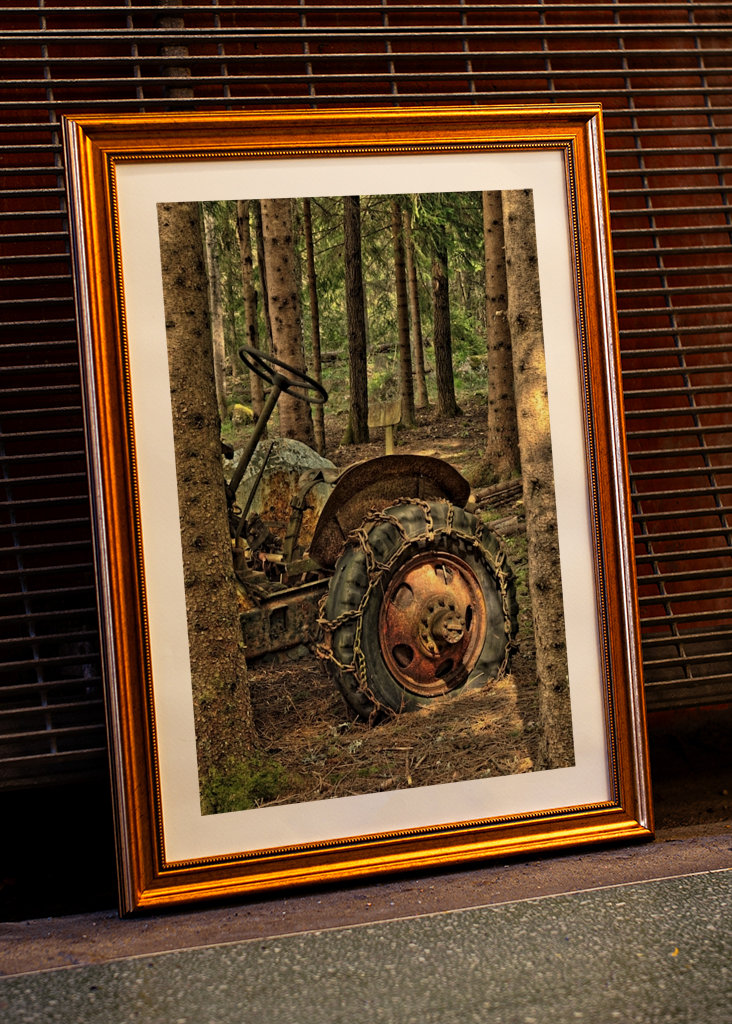 Abandoned traktor in forest