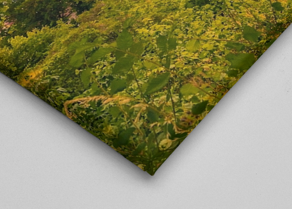 Visby Saint Mary's Cathedral