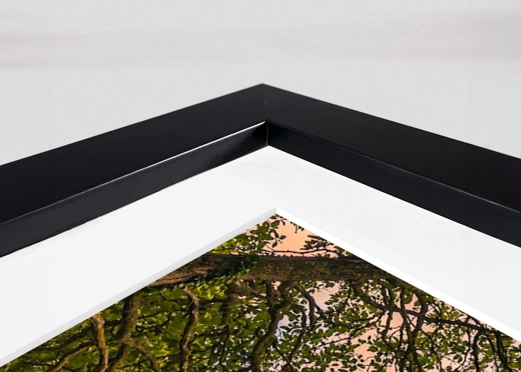 Visby Saint Mary's Cathedral