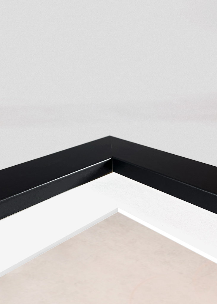 Animal Friends Alphabet