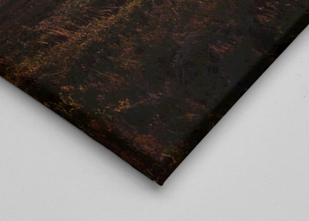 Mountainbike in Sweden