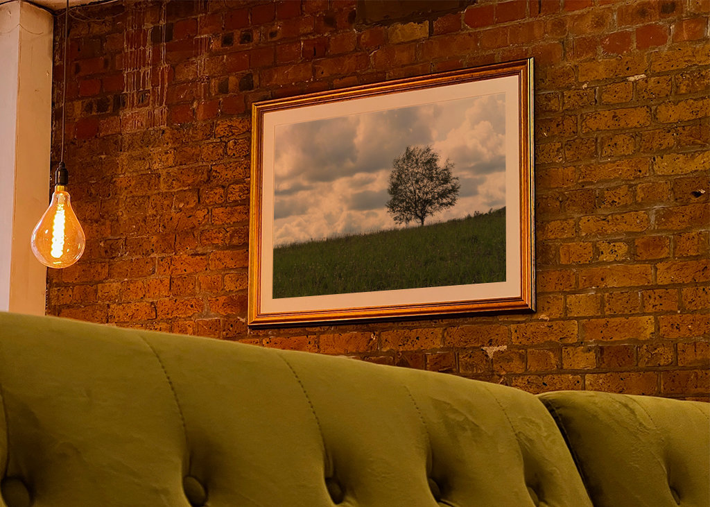 Bäume auf dem Hügel